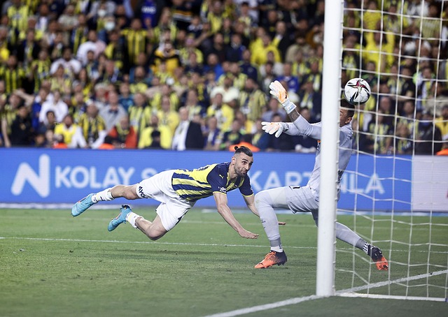 世界不同地 世界不同地