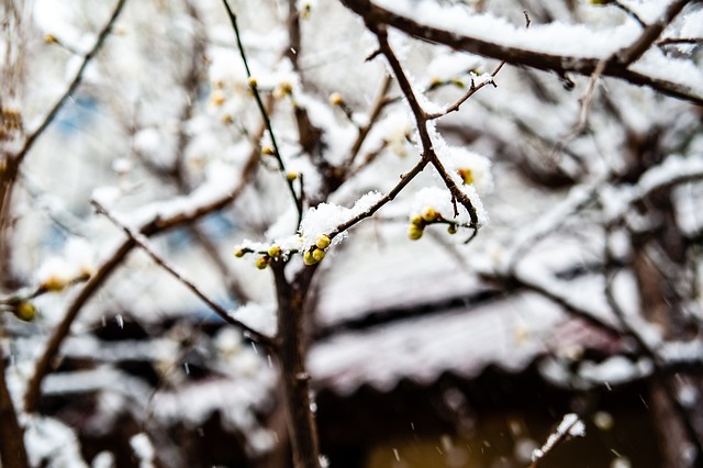 裁水平和国