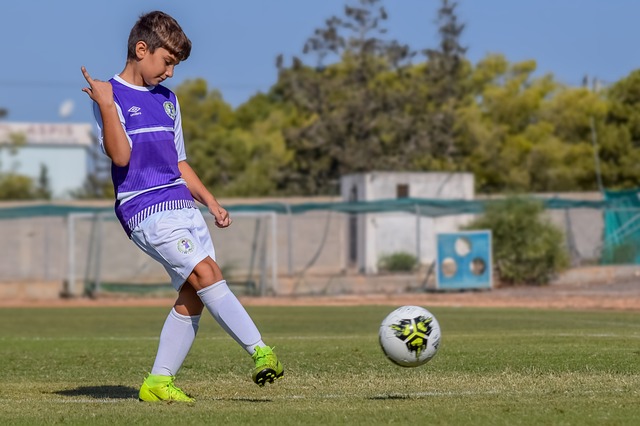 都将是灰熊 都将是灰熊