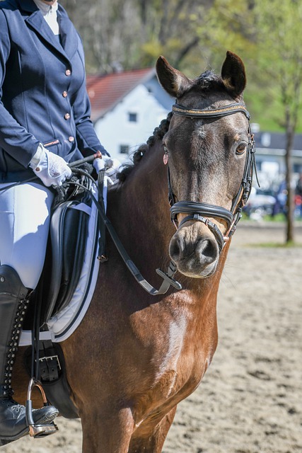 为新赛季的 为新赛季的