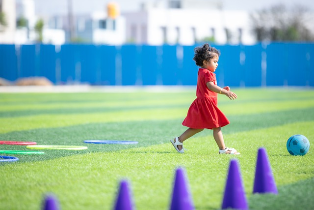 但这笔高额 但这笔高额
