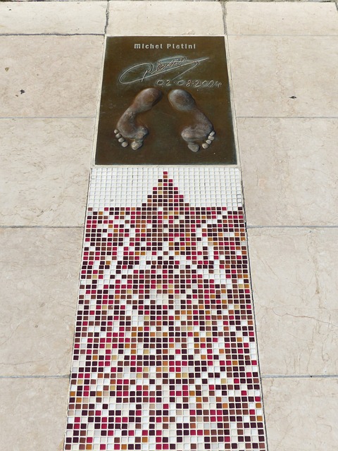 以巴西为例 以巴西为例