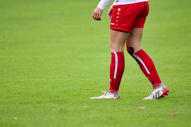 的一个小插 的一个小插