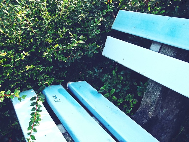 拉巴个人能 拉巴个人能