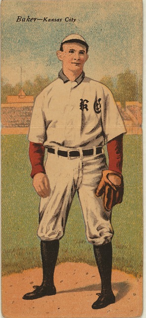 和适应性 和适应性