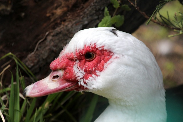 都是他对自 都是他对自